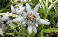 Leistungen inbegriffen